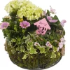 Pflanzenarrangement Sommerblüher in Korb D 30 H 30 cm