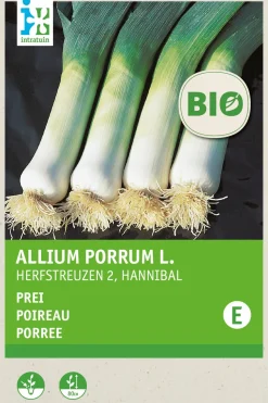 Porree (Allium porrum 'Hannibal') (BIO) Samen