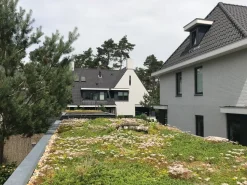 Sempergreen Sedummatte 200 x 60 x 2 cm