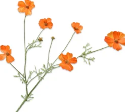 Silk-Ka Kunstblume Cosmos orange 25 x 25 x 77 cm