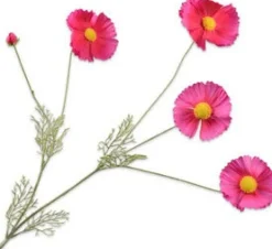 Silk-Ka Kunstblume Cosmos 92 cm