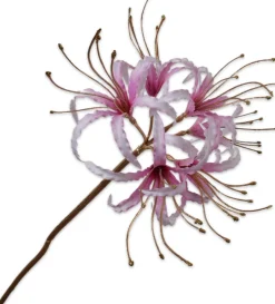 Silk-Ka Kunstblume Nerine 93 cm rosa