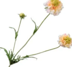 Silk-Ka Kunstblume Scabiosa orange 66 cm