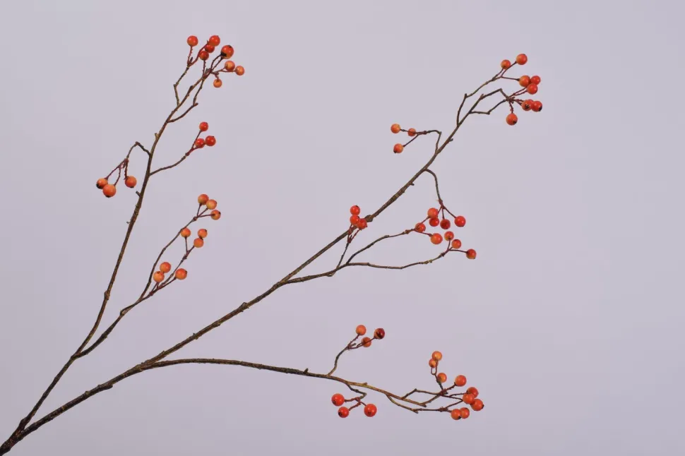 Silk-ka Kunstzweig mit Beeren orange 94 cm
