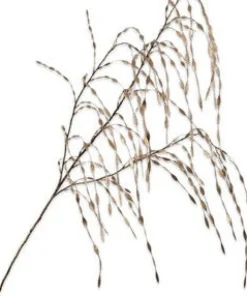 Silk-Ka Kunstzweig Ziergras gold 119 cm