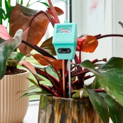 Sogo pH- & Feuchtigkeitsmesser 38 x 11 x 4 cm