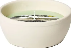 Spaas Citronella-Kerze Asian Garden grün 13 Std. D 10,9 H 4,6 cm