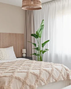 Strelitzie (Strelitzia nicolai) D 27 H 150 cm