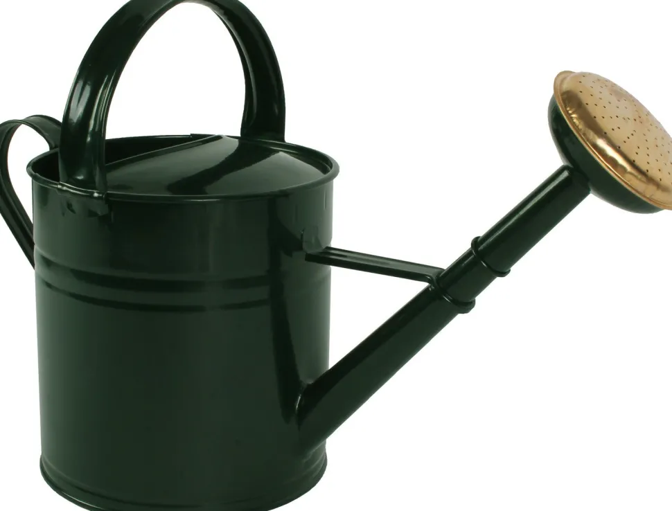 Talen Tools Gießkanne 5 l grün