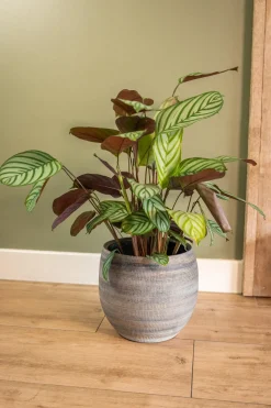 TS Blumentopf Dex weiß / grau D 22 H 20 cm