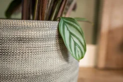 TS Blumentopf Dex weiß / grau D 19 H 16 cm