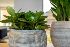 TS Blumentopf Dex weiß / grau D 17 H 13 cm