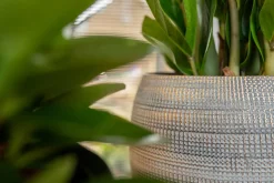 TS Blumentopf Dex weiß / grau D 17 H 13 cm