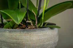 TS Blumentopf Dex weiß / grau D 28 H 25 cm