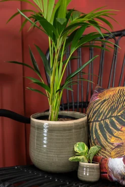 TS Blumentopf Iris grün D 8 H 7 cm