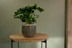 TS Blumentopf Iris grün D 14 H 12 cm