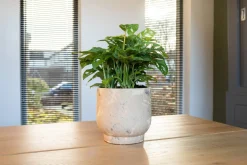 TS Blumentopf Linn creme D 21 H 21 cm