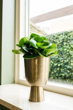 TS Blumentopf mit Fuß Lauren gold D 15 H 24 cm