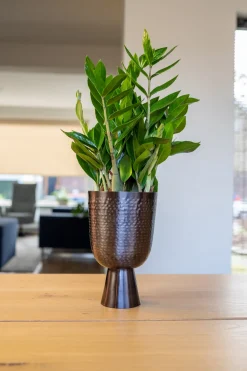 TS Blumentopf mit Fuß Lauren grau D 18 H 28 cm