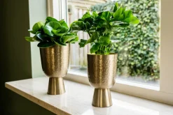 TS Blumentopf mit Fuß Lauren gold D 12 H 19 cm