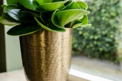 TS Blumentopf mit Fuß Lauren gold D 12 H 19 cm