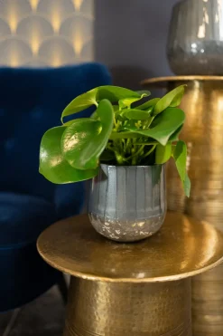 TS Blumentopf Ninthe grau D 36 H 31 cm