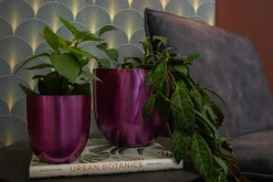 TS Blumentopf Nori D 8 H 7 cm violett