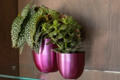 TS Blumentopf Nori D 8 H 7 cm violett