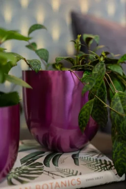 TS Blumentopf Nori D 13 H 13 cm violett