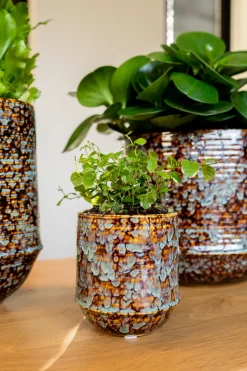 TS Blumentopf Noud braun / mint D 7 H 8 cm