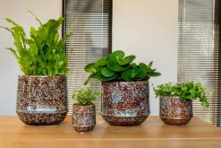 TS Blumentopf Noud braun / mint D 11 H 12 cm