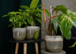 TS Blumentopf Tara grün / grau D 26 H 23 cm