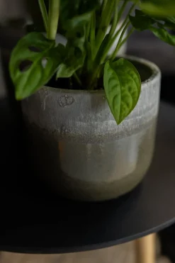 TS Blumentopf Tara grün / grau D 19 H 16 cm