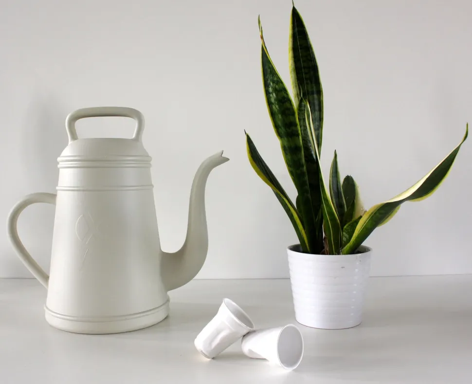 Xala Gießkanne Lungo 12 l hellgrau