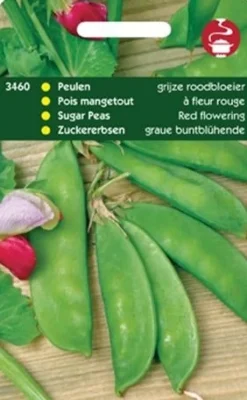 Zuckererbsen (Pisum sativum 'Graue Buntblühende') Samen